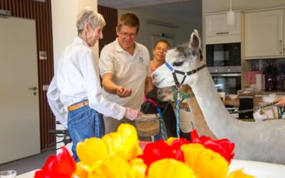 Hospiz Waren (Müritz)