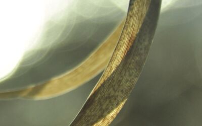 Fotografin Anja Puder Waren (Müritz)