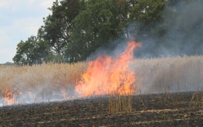 Feuerwehreinsatz bei Erntebrand