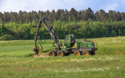 Landesforstanstalt Malchin