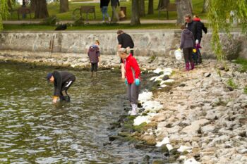 Müllsammelaktion Waren (Müritz)