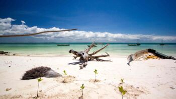 Multivisionsshow Sansibar im Bürgersaal Waren
