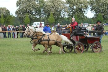 Veranstaltung Bollewick