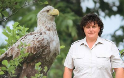 Veranstaltungen Müritz-Nationalpark