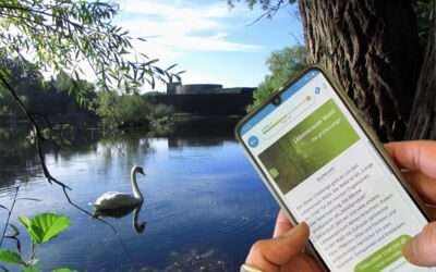 Müritzeum Waren (Müritz)