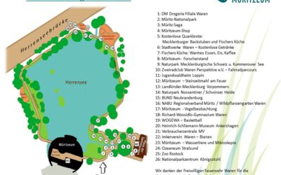 Kinderumwelttag im Müritzeum