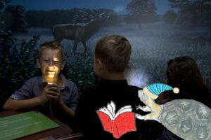 Veranstaltungen Waren (Müritz)