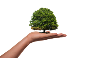 Verkehrsbehinderungen Waren (Müritz)