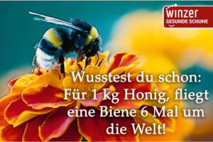 „Winzer Gesunde Schuhe“ in Waren (Müritz)