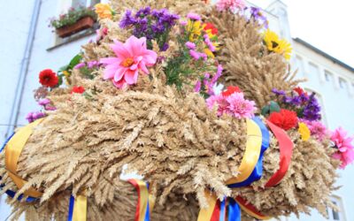 Veranstaltungen bei Penzlin