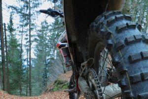 Buchenwald Müritz-Nationalpark