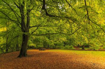 Müritz-Nationalpark