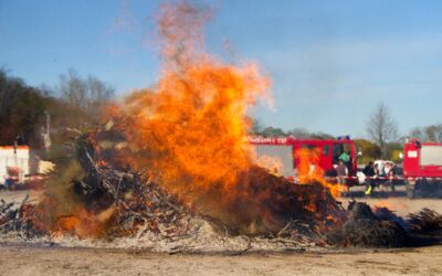 Veranstaltungen Ostern Mecklenburgische Seenplatte