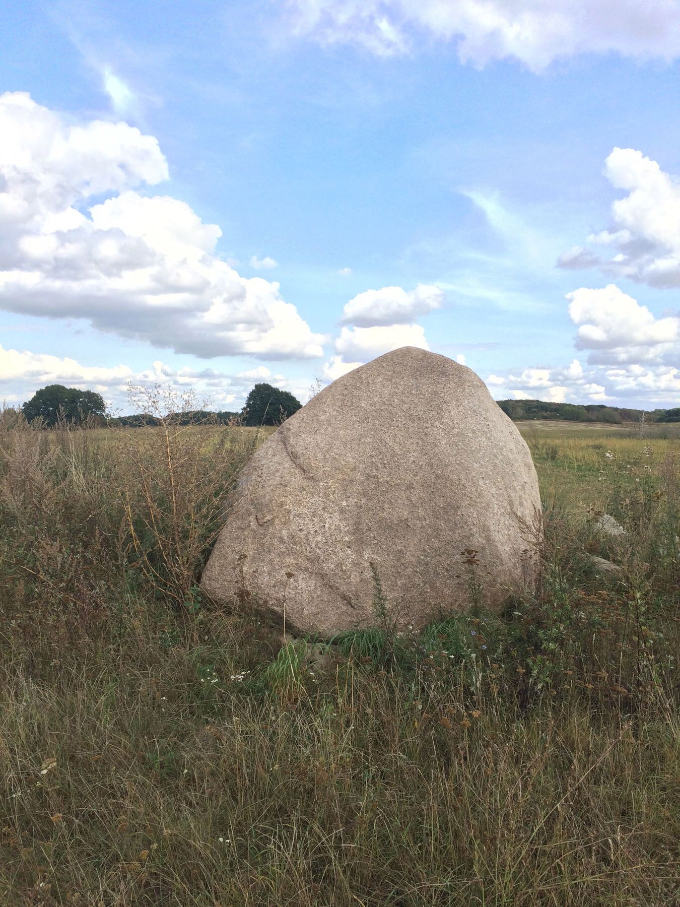 Förderverein des Müritz-Nationalparks e.V.