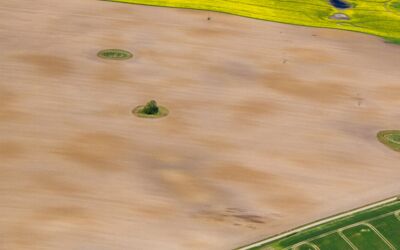 Landwirtschaft Mecklenburg-Vorpommern