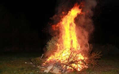 Veranstaltungen Röbel/Müritz