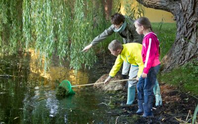 Freiwilliges Ökologisches Jahr Müritzeum
