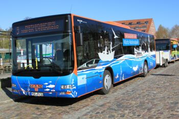 Müritz-Nationalpark Ticket