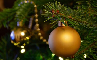 Remondis Mecklenburgische Seenplatte