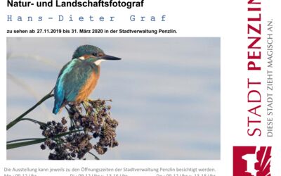Naturfotos in Penzlin