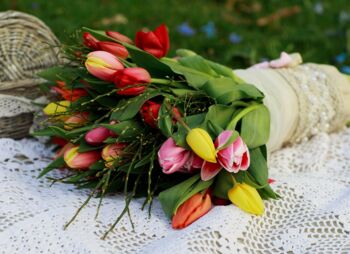Veranstaltungen internationaler Frauentag