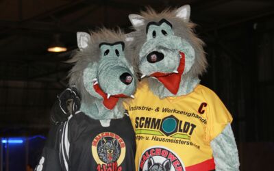 Eishockey-Spiel Eishalle Malchow