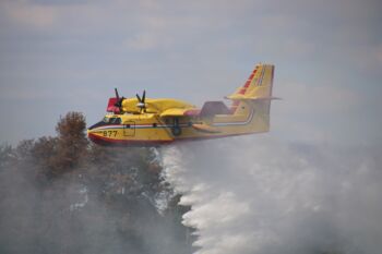 FIREmobil Waldbrand Brandenburg
