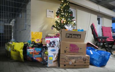 Spendenaktion Malchower Tierheim