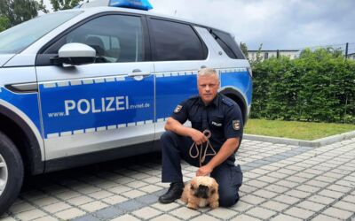 Greifswalder Polizist findet gestohlenen Hund wieder