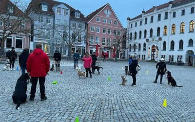 Hundeverein Kiebitzberg Waren (Müritz)