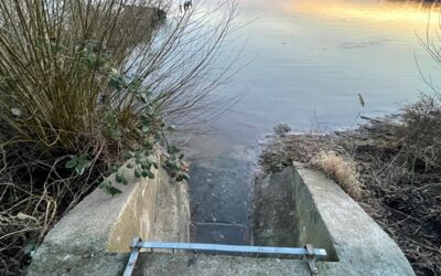 Blaue Flagge Müritz