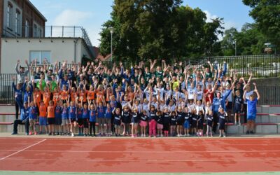 Müritzer Handballer laden zum Heimspieltag