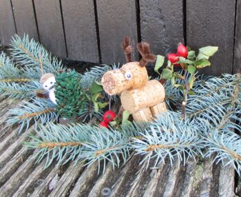 Veranstaltung Waren (Müritz)