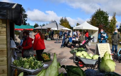 Nachhaltigkeitsmarkt in Stuer