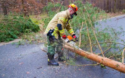 Feuerwehreinsätze Sturm Mecklenburgische Seenplatte