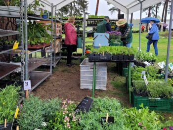 Veranstaltung Alt Schwerin Agroneum