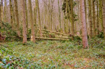 Stürme „Ylenia“, „Zeynep“ und „Antonia“ in MV