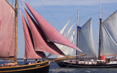 Bundesratspräsidentschaft Mecklenburg-Vorpommern