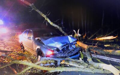 B198: Baum stürzt auf ein BMW