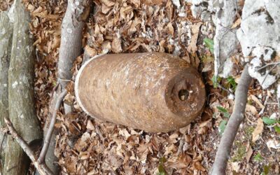 Weltkriegsbombe Mecklenburg-Vorpommern