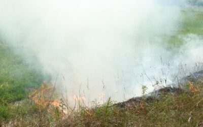 Böschungsbrand N192 bei Ave