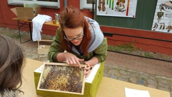 „Johannesschule" aus Möllenhagen