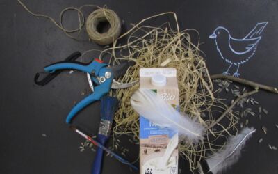 Veranstaltungen Waren (Müritz)