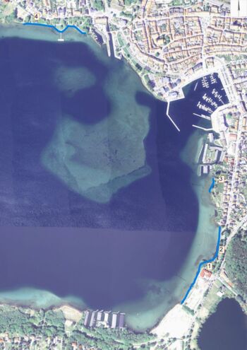 Müllsammelaktion am Müritzufer