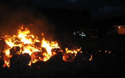 Feuerteufel Müritzregion