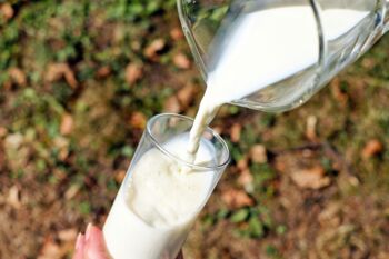 Milch aus Mecklenburg-Vorpommern