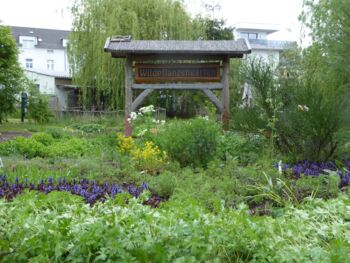 Veranstaltung Waren (Müritz)