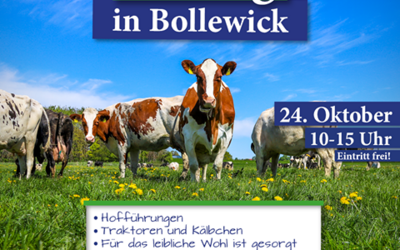 Bauernhof von Matthijs Van der Ham