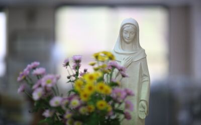 Hospiz Mecklenburgische Seenplatte