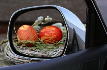 Aktuelle Nachrichten aus der Mecklenburgischen Seenplatte
